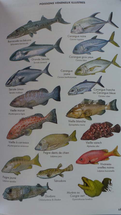poissons toxiques